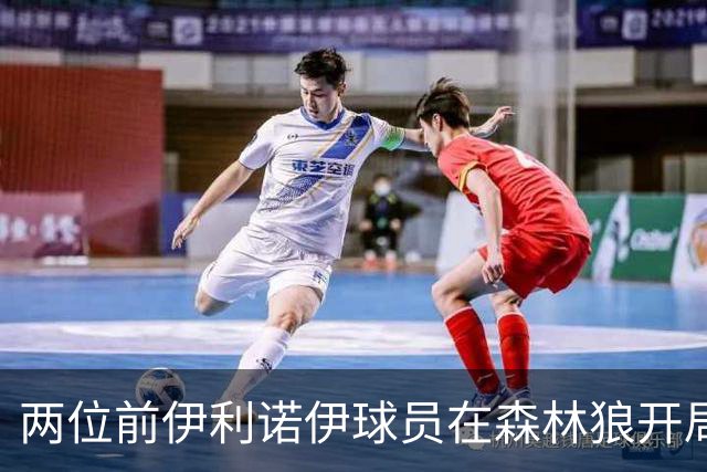 两位前伊利诺伊球员在森林狼开局抢眼，多苏穆场均12分香农13分