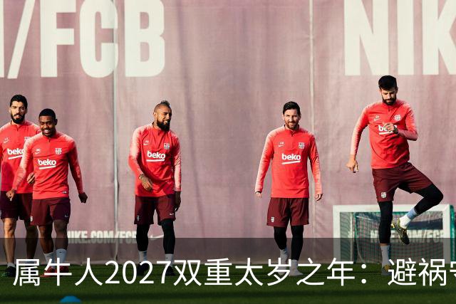 属牛人2027双重太岁之年：避祸守福，实用完整指南