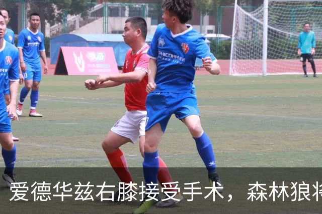 爱德华兹右膝接受手术，森林狼将一次性解决膝伤，预计休战2个月