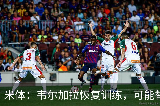 米体：韦尔加拉恢复训练，可能替补战罗马