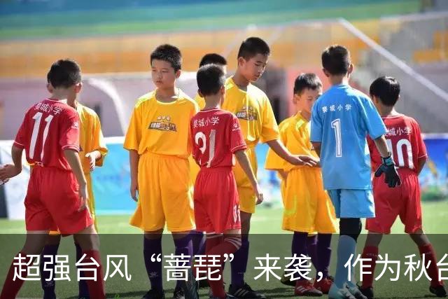超强台风“蔷琵”来袭，作为秋台风其最大可能走“转弯路径”